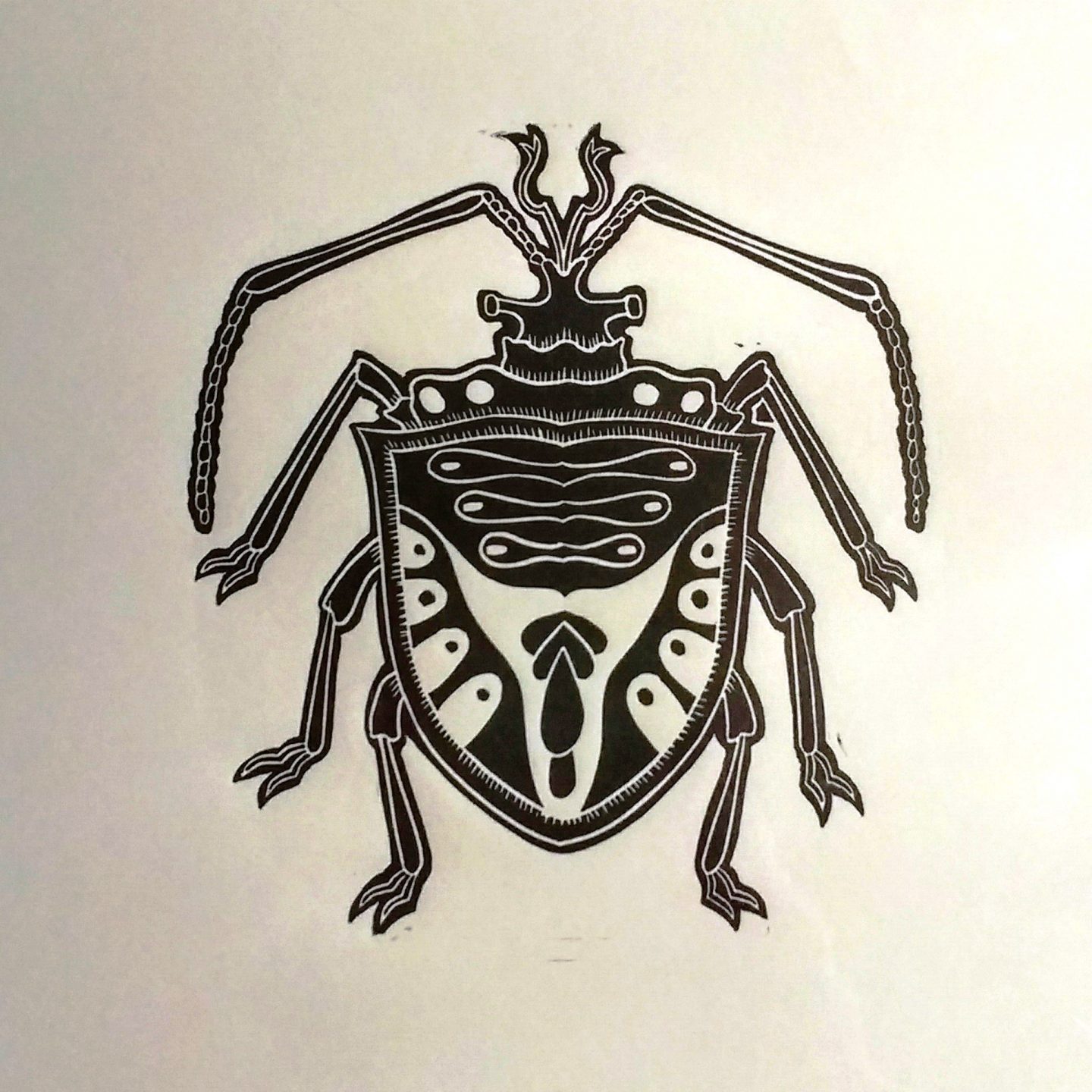 It must be love – the beetles
